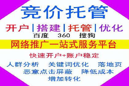 百度竞价赚钱的技巧与成功案例探讨